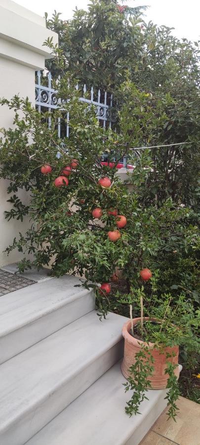 Dora'S Home With Garden Волос Екстер'єр фото
