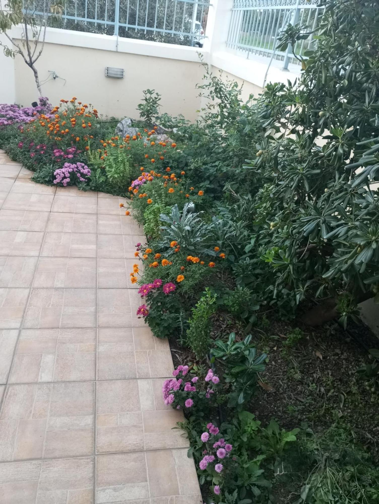 Dora'S Home With Garden Волос Екстер'єр фото
